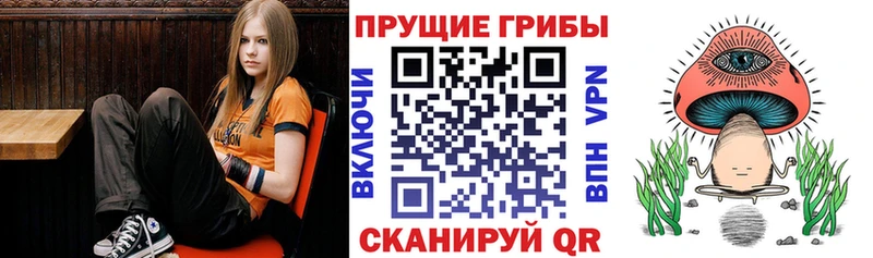 Галлюциногенные грибы мицелий Кохма