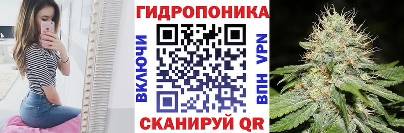 Марихуана индика  Кохма 